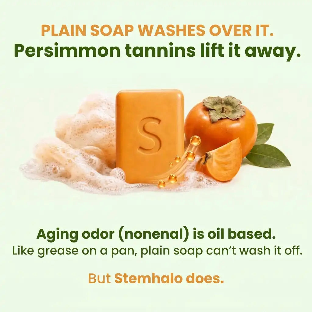 Stemhalo Deodorizing Persimmon Soap |Target Age-Related Skin Odor At The Source